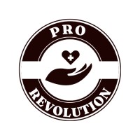Pro Revolutions Solutions LLC logo - Similar company to Cloudinfrait Inc