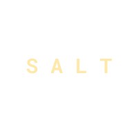 SALT: Strategic Analysis. Local Terrain. logo - Similar company to Medicall