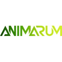 Animarum logo - Similar company to Animatech
