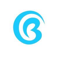 Brandolyfic logo - Similar company to Ensconce - Business Management Consulting