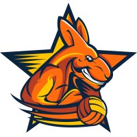 VBC Etoile Genève logo - Similar company to Infomaniak Genève Volley
