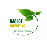 Djolof Consulting logo - Similar company to Entreprise Fastosh