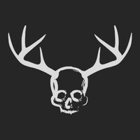 Balistika logo - Similar company to Optimized