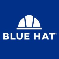 Blue Hat logo - Similar company to Aptitude: Intelligent Integration