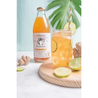 Kombucha La Jaguara logo - Similar company to Bravía Kombucha
