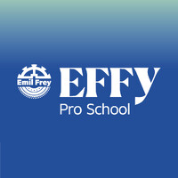 EFFY Pro School logo - Similar company to Jpm