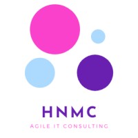 HNM Consulting logo - Similar company to Onemind Technologies