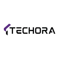 Techora logo - Similar company to Progeny Technologies Limited
