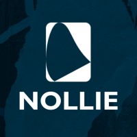 Nollie Design Ventures Ltd logo - Similar company to Simple Digital Solutions