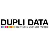 Dupli Data logo - Similar company to Luce Stick