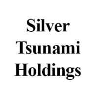 Silver Tsunami Holdings logo - Similar company to Andrewahn.Co