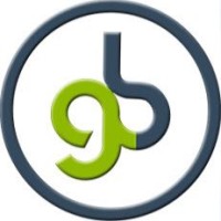 Gianluca Bosio Geometra logo - Similar company to Alvyn Ai Studio