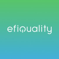 efiQuality logo - Similar company to Anelair