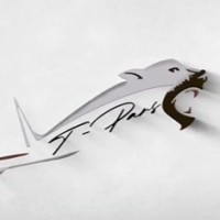 T-Pars logo - Similar company to Data Kulübü