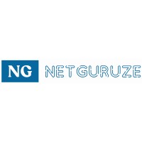 Netguruze logo - Similar company to Crackiit:Jee Smashers
