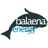 Balaena Energy logo - Similar company to Balaena