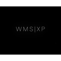 WMS Investimentos logo - Similar company to Peak Partners