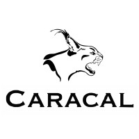 Caracal Engineering logo - Similar company to Cffm-Global