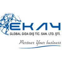 EKAY Global Int. Ltd. Co. logo - Similar company to Kivilcim Engineering Co.Ltd. ( Cometepool )