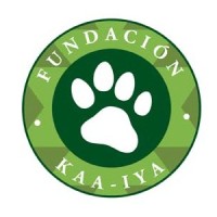Fundación Kaa Iya logo - Similar company to Start Americas Together