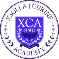Xsolla Curine Academy logo - Similar company to Albe Engineering Pty Ltd
