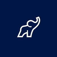 ElephantSkin logo - Similar company to Vision1 Eyewear