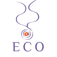ECO Desenvolvimiento Humano logo - Similar company to Gimi Network