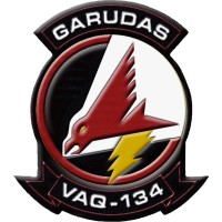 Electronic Attack Squadron ONE THREE FOUR (VAQ-134) logo - Similar company to Wings Technology Enterprise, Inc.