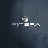 Finera Finansal Veri Analizi logo - Similar company to Datamız