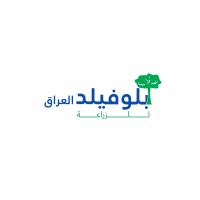 BlueField Iraq logo - Similar company to Bluefield Group