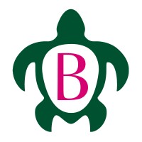 B the Difference logo - Similar company to Curenfwithjack