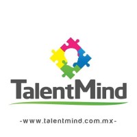 Talentmind_ logo - Similar company to Talentmind