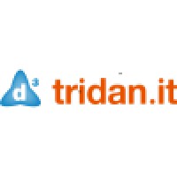 Tridan IT logo - Similar company to Easylifeit | It Support On Demand