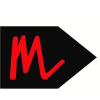 Megatherm Induction Ltd. logo - Similar company to Vikrant Engineering Works Pvt Ltd