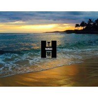 Hawaii Healthcare Technology Management Association logo - Similar company to Pamia - Philadelphia Area Medical Instrumentation Association