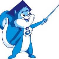 Sonlinetutor.com logo - Similar company to Ashwin Tutorials