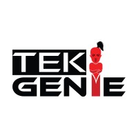 Tekgenie logo - Similar company to B2Bnet