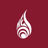 McMaster Engineering Society logo - Similar company to Mac Formula Electric