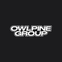 Owlpine Group logo - Similar company to Torrence Racing