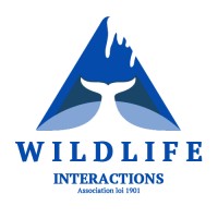 ARTIC INTERACTIONS logo - Similar company to Indemer