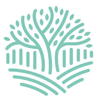 Overstory Ventures logo - Similar company to Fresh Ventures Studio