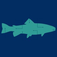 Untamed Data logo - Similar company to Triplence Technologies