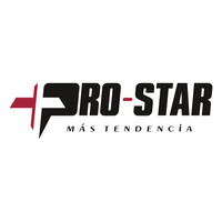 PRO-STAR Impulsadora de Moda logo - Similar company to Palmer School