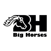 Big Horses logo - Similar company to Uniko Pets Milano