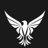 DREAM SPACESS logo - Similar company to Voltexplus