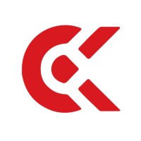 Cognix Insights logo - Similar company to Code Verse Nepal