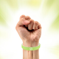 Flip Band