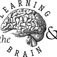 Learning and the Brain logo - Similar company to Maryland Essentials For Childhood