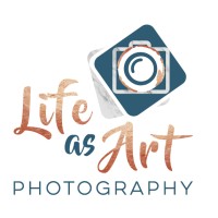 Life as Art logo - Similar company to Libraries As Launchpads