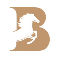 Buemi and Sons logo - Similar company to Nfindex